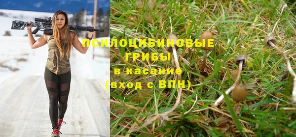 spice Алексин