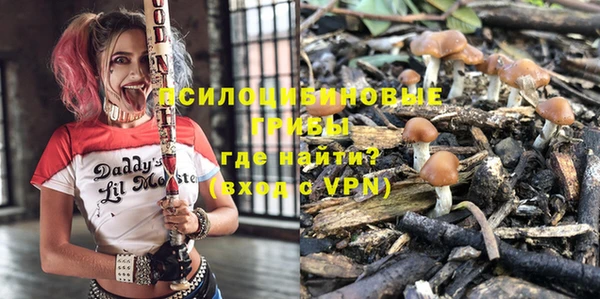 spice Алексин