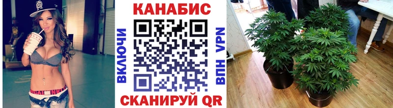 МАРИХУАНА гибрид KRAKEN ссылки Палласовка сайты даркнета наркотические препараты хочу наркоту